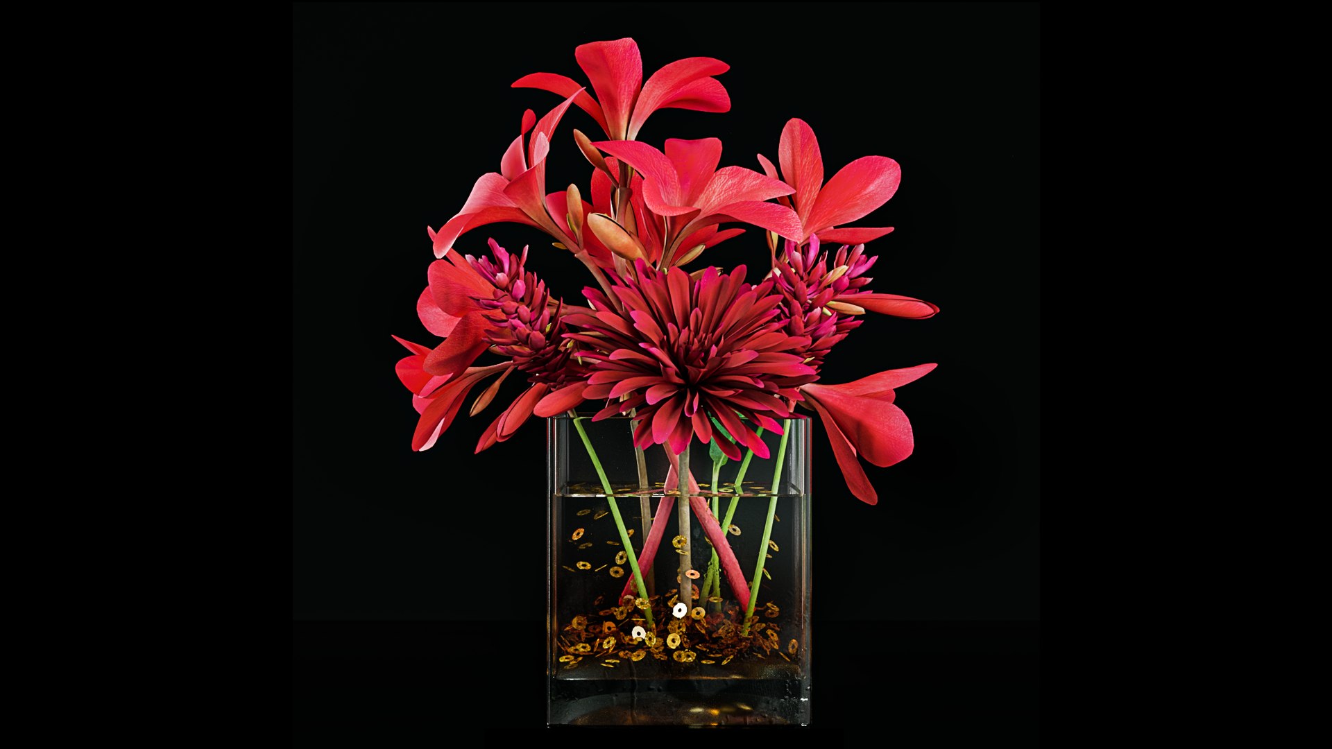 3D Plant 56 https://p.turbosquid.com/ts-thumb/1z/T7XVmh/iK/pr1_56_2/png/1671975591/1920x1080/fit_q87/211692a14fb166ff707d2ec563e5f738b69f424a/pr1_56_2.jpg