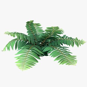 3D Cartoon Fern 02