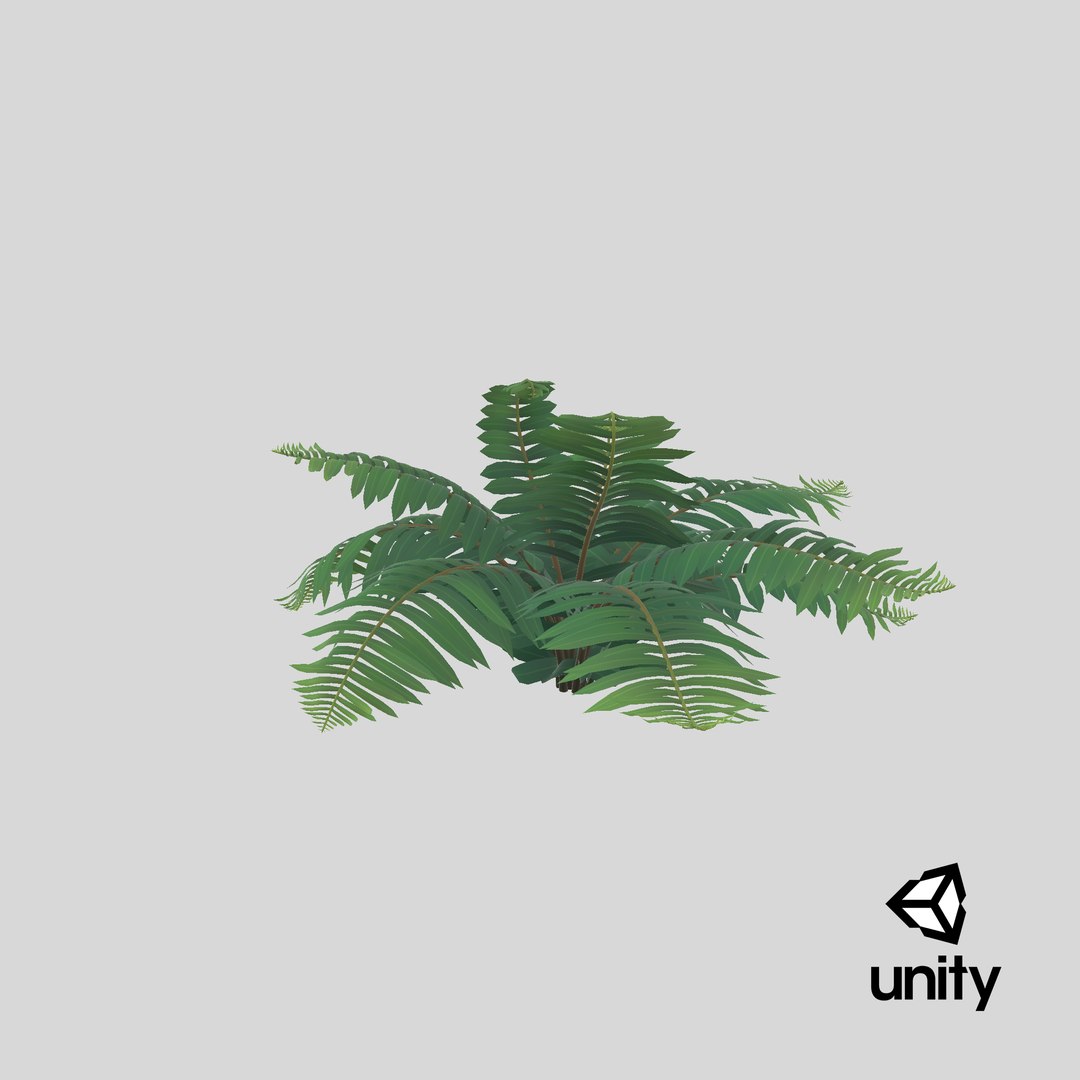 3D Cartoon Fern 02 - TurboSquid 1938329