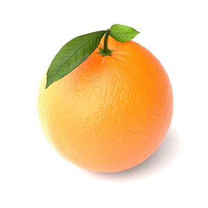 Orange fruit