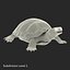 european pond turtle rigged 3D model