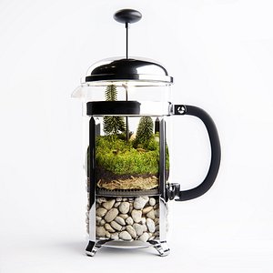 Florarium French Press