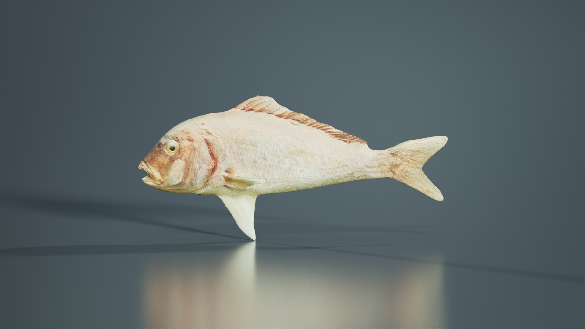 Prehistoric Fish Remastered 3D Model - TurboSquid 2359746