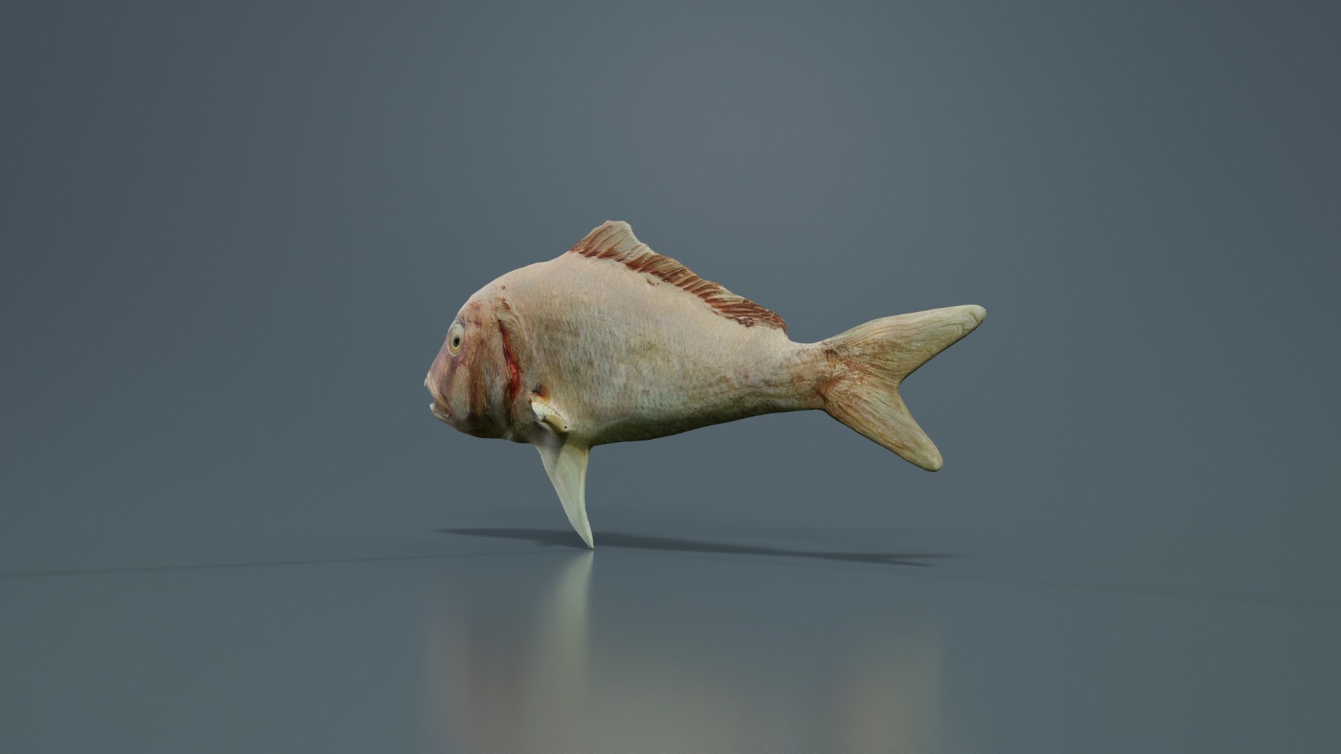 Prehistoric Fish Remastered 3D Model - TurboSquid 2359746