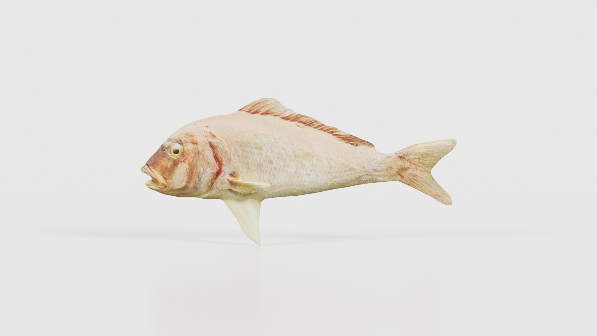 Prehistoric Fish Remastered 3D Model - TurboSquid 2359746