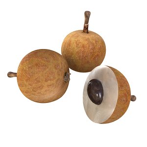fruits 3D model