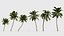 Colección Palm V2