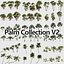 Colección Palm V2
