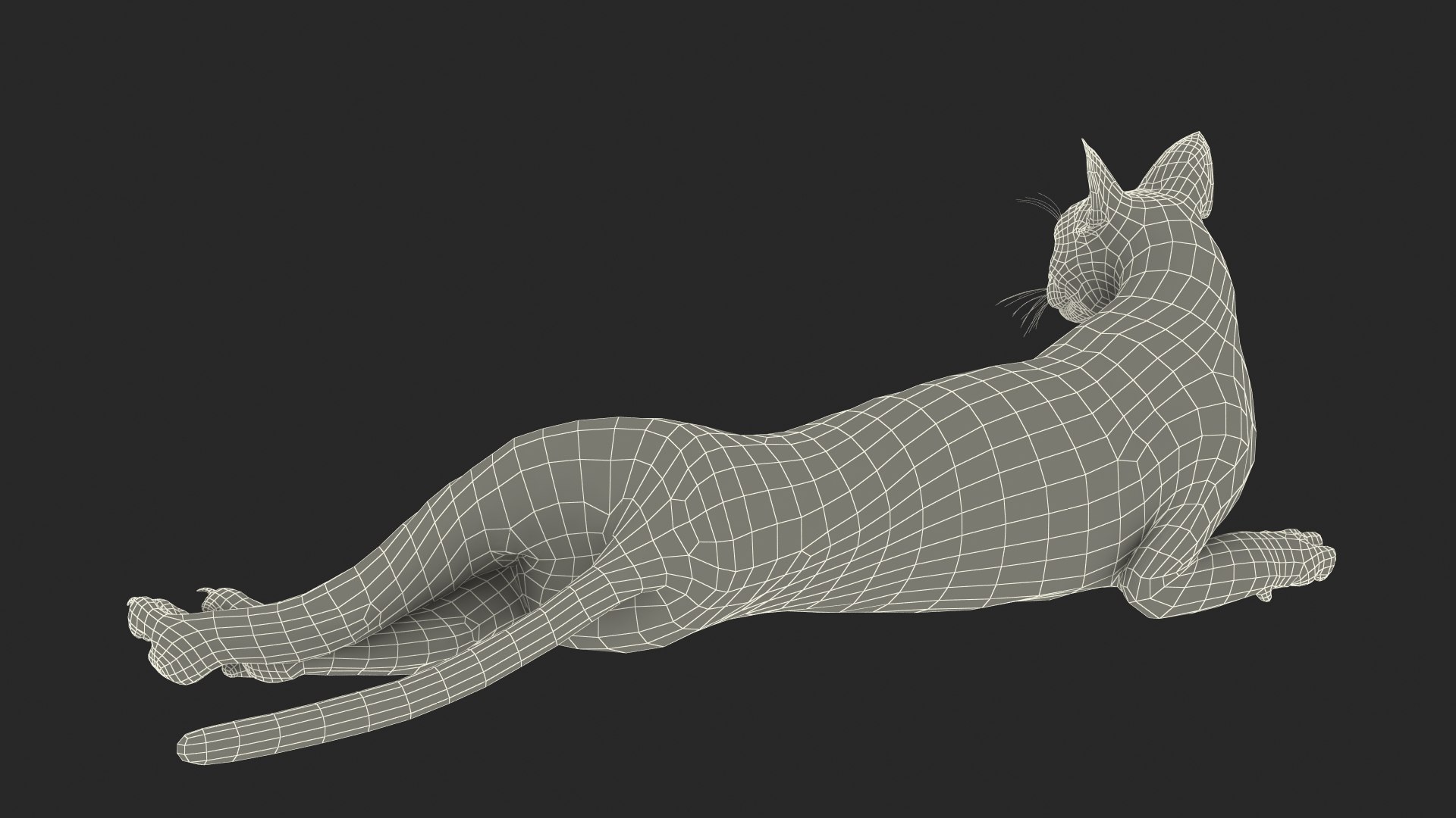 Caracal Cat Resting model https://p.turbosquid.com/ts-thumb/20/9ELfwN/5y/caracalcatrestingc4dmodel030/jpg/1706572271/1920x1080/fit_q87/fa17686a2f5e2cfad8ed8d64dfd8216b27e7545f/caracalcatrestingc4dmodel030.jpg