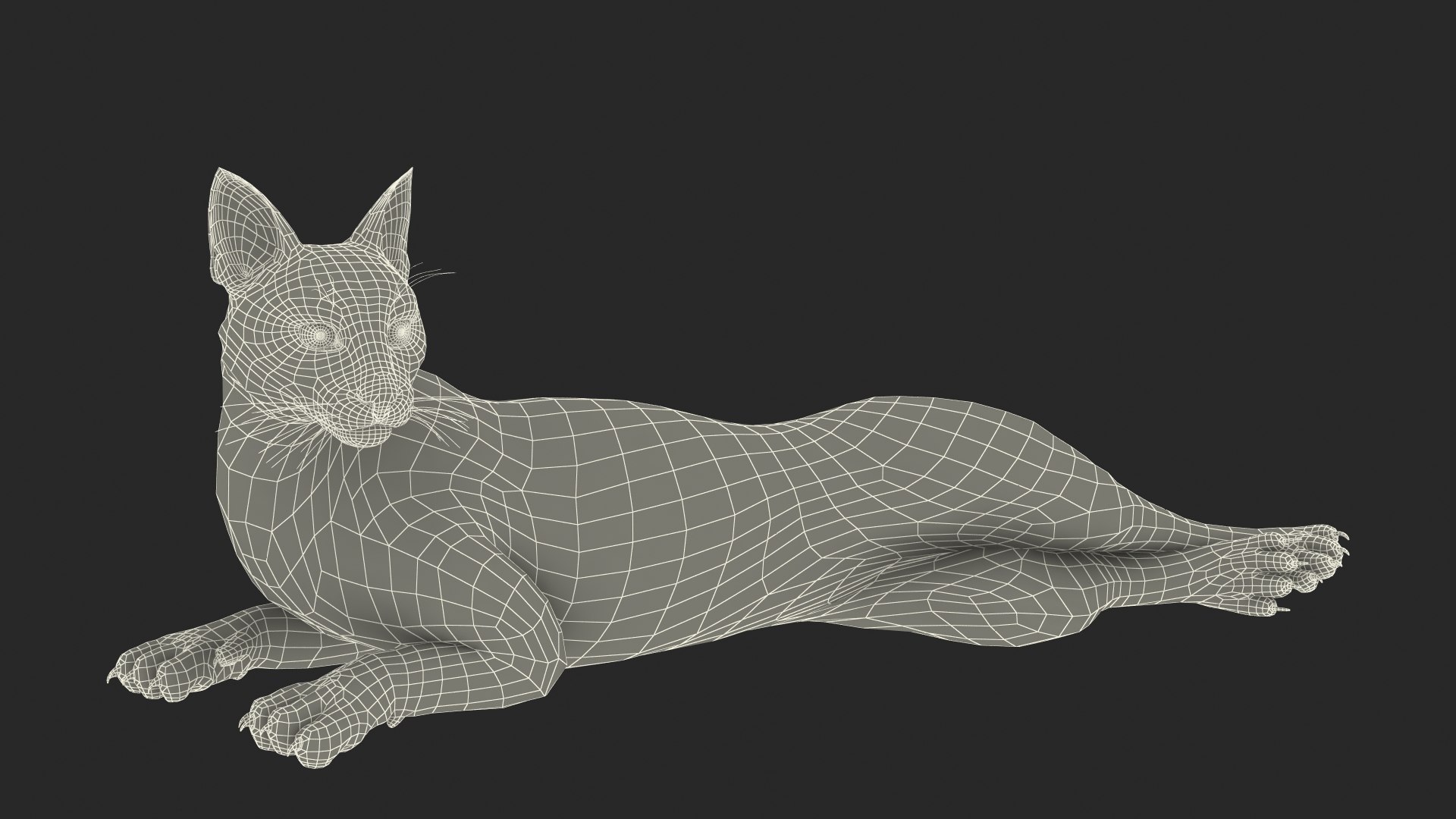 Caracal Cat Resting model https://p.turbosquid.com/ts-thumb/20/9ELfwN/66/caracalcatrestingc4dmodel029/jpg/1706572267/1920x1080/fit_q87/cb206961bbf995a03f95bd23c16cbf13b6506a0e/caracalcatrestingc4dmodel029.jpg