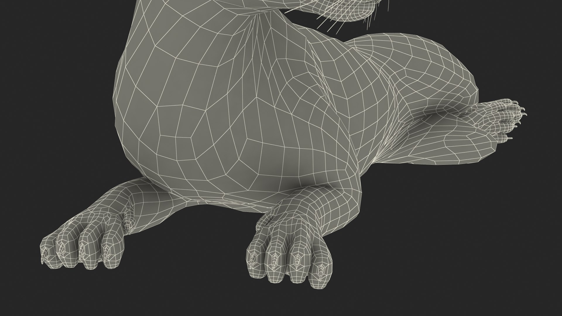 Caracal Cat Resting model https://p.turbosquid.com/ts-thumb/20/9ELfwN/78/caracalcatrestingc4dmodel033/jpg/1706572287/1920x1080/fit_q87/e7b5cf28cb55bf496e83e479261375e0de9f22c8/caracalcatrestingc4dmodel033.jpg