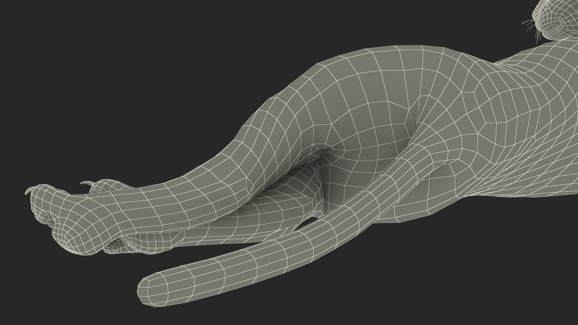 Caracal Cat Resting model https://p.turbosquid.com/ts-thumb/20/9ELfwN/FJ/caracalcatrestingc4dmodel034/jpg/1706572292/1920x1080/fit_q87/4489b2266675a10f5fa1e5dc70eae2d650f63d6d/caracalcatrestingc4dmodel034.jpg