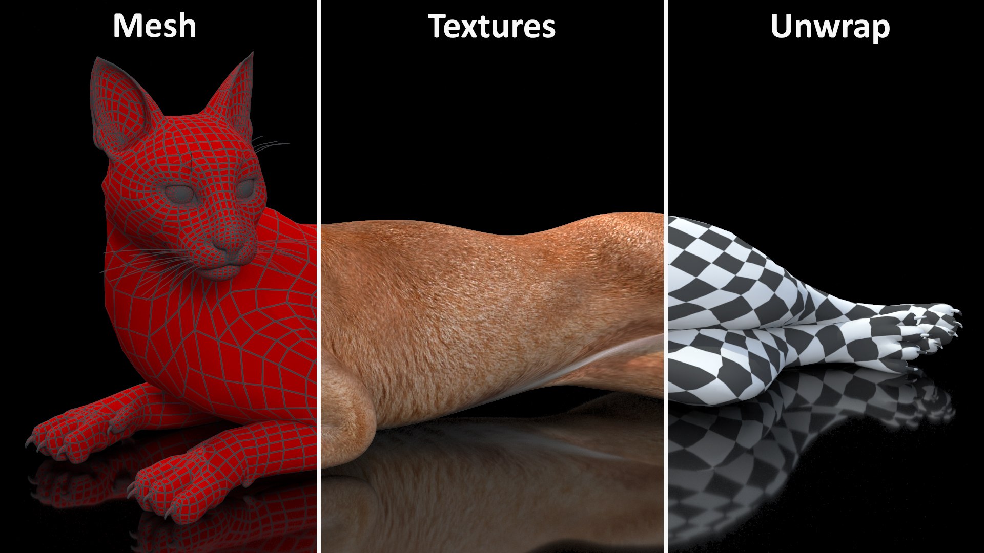 Caracal Cat Resting model https://p.turbosquid.com/ts-thumb/20/9ELfwN/YB/caracalcatrestingc4dmodel019/jpg/1706572219/1920x1080/fit_q87/32edb56d91ddcd44427d04a9e841ef0d231ea30c/caracalcatrestingc4dmodel019.jpg