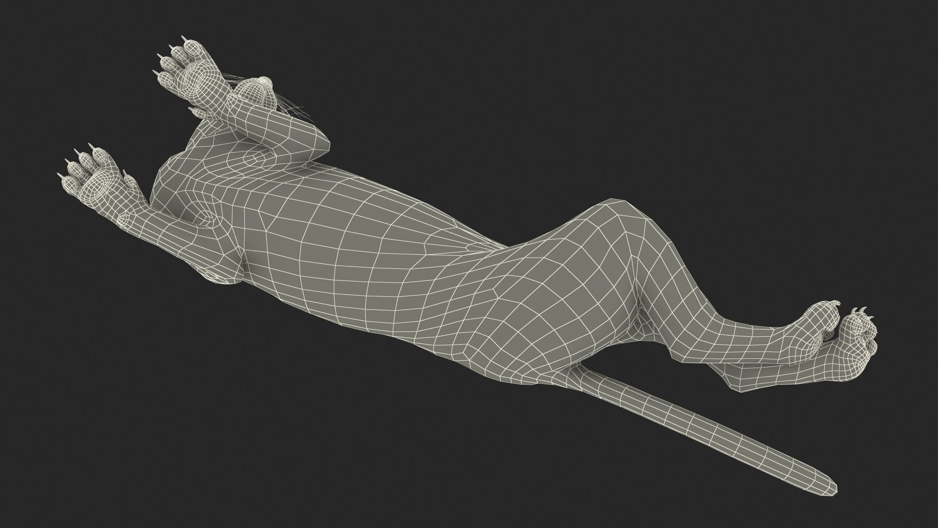 Caracal Cat Resting model https://p.turbosquid.com/ts-thumb/20/9ELfwN/i6/caracalcatrestingc4dmodel031/jpg/1706572277/1920x1080/fit_q87/627692c0c14d7ed03583b8bac034eb79491ef349/caracalcatrestingc4dmodel031.jpg