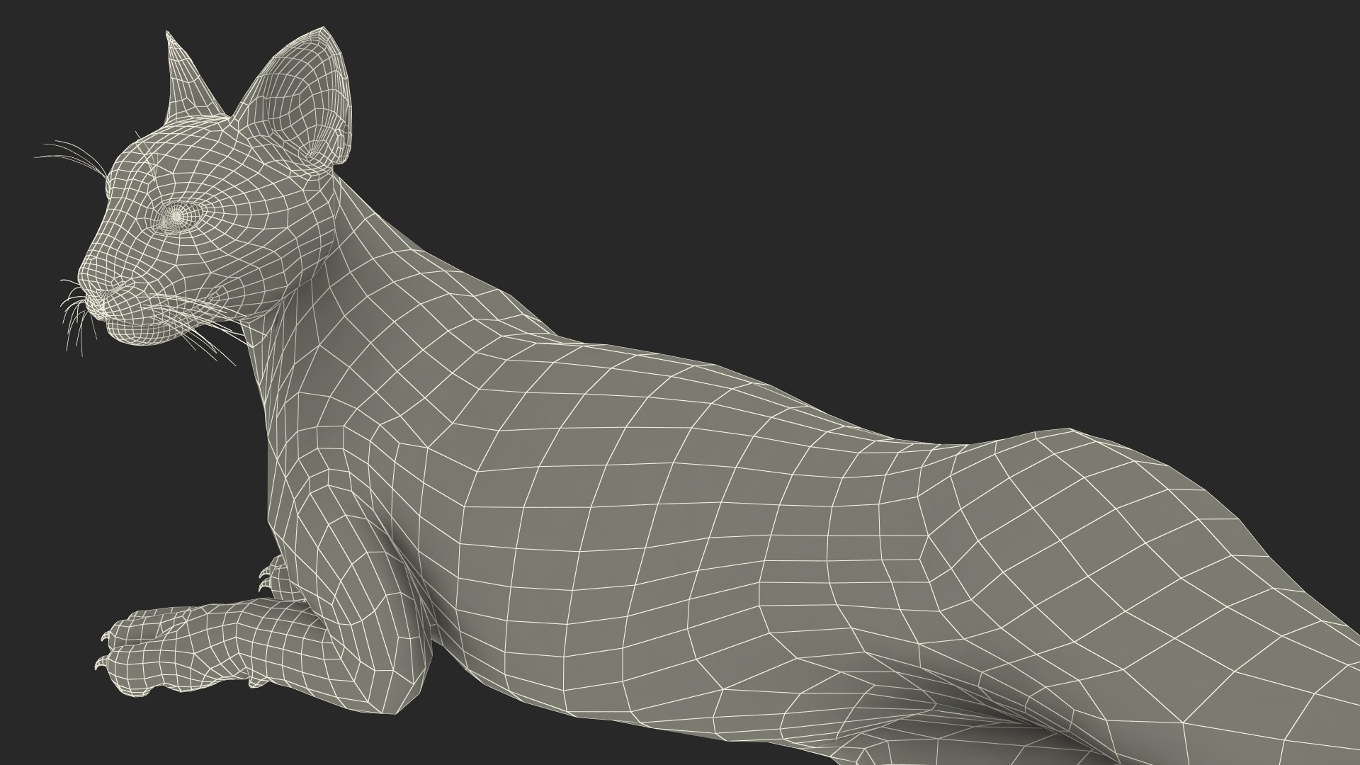 Caracal Cat Resting model https://p.turbosquid.com/ts-thumb/20/9ELfwN/nZ/caracalcatrestingc4dmodel032/jpg/1706572282/1920x1080/fit_q87/81c1b81833a0987a462482513fc673d5b8961644/caracalcatrestingc4dmodel032.jpg