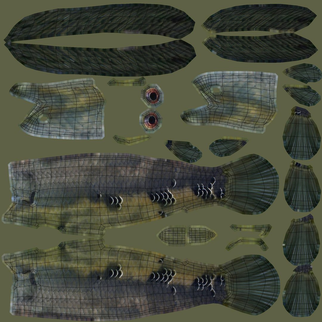 3D Snakeheads Fish Model - TurboSquid 1374427