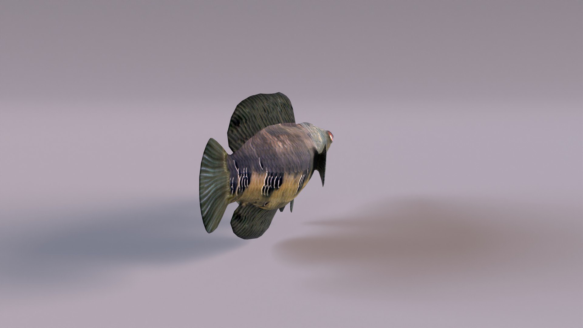 3D Snakeheads Fish Model - TurboSquid 1374427
