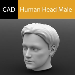 Solidworks Human Head Male