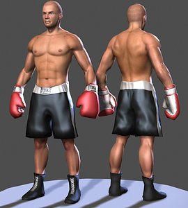 Boxer lowpoly