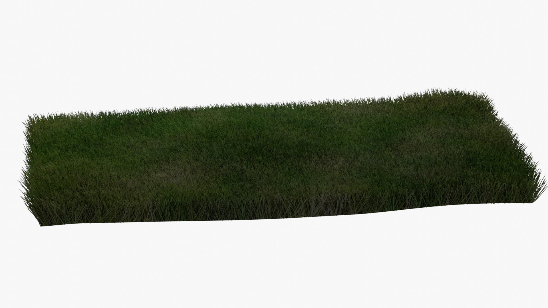 Warm Season Grass 3D model https://p.turbosquid.com/ts-thumb/20/ZqnOuL/0G/grass_18/jpg/1744982809/1920x1080/fit_q87/8e8953a9001e1ff56d69943fea6616ce8f14afce/grass_18.jpg