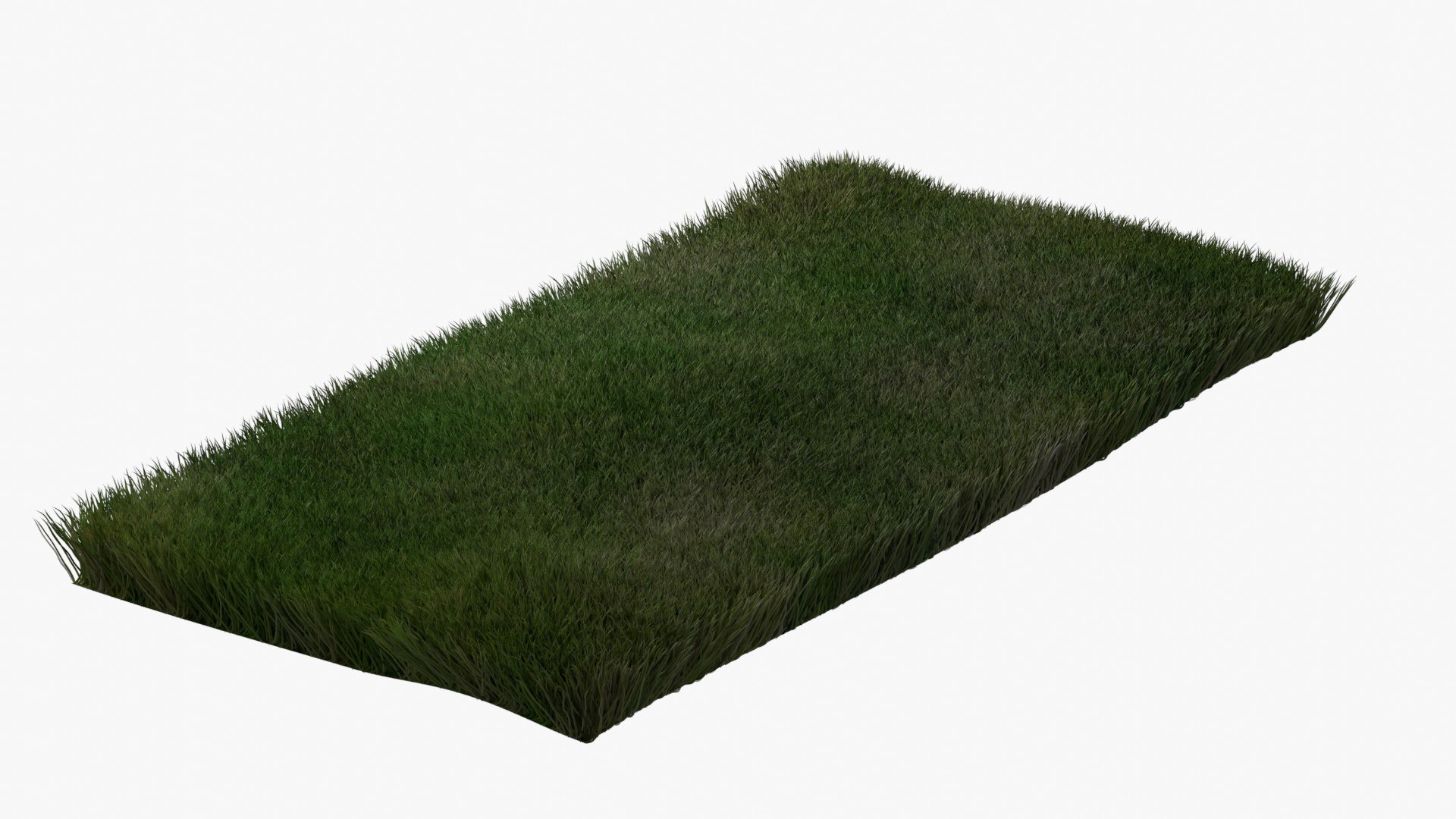 Warm Season Grass 3D model https://p.turbosquid.com/ts-thumb/20/ZqnOuL/6N/grass_15/jpg/1744982806/1920x1080/fit_q87/9736bf5961e03d590c6f4fd7e06214f0745b8644/grass_15.jpg