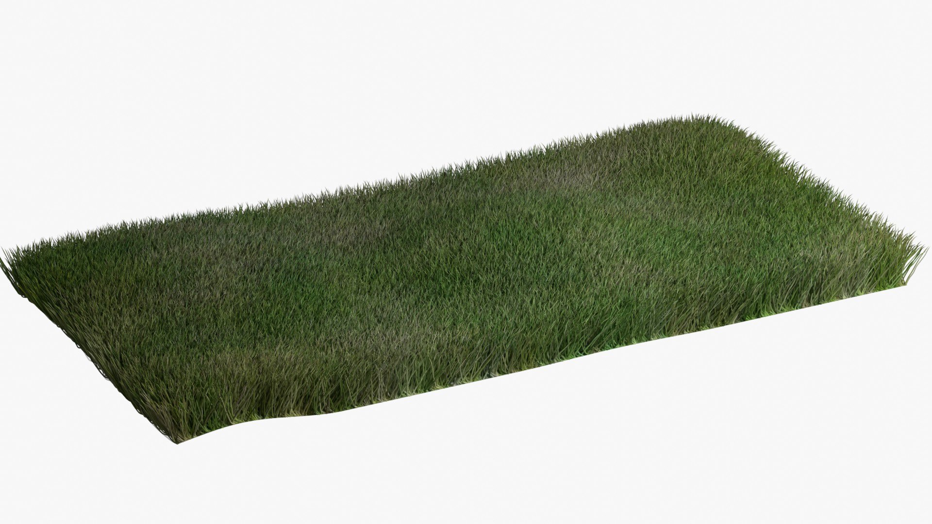 Warm Season Grass 3D model https://p.turbosquid.com/ts-thumb/20/ZqnOuL/7E/grass_30/jpg/1744982812/1920x1080/fit_q87/3f823d7d5b9a583f1f54318510abd9b0b295217b/grass_30.jpg