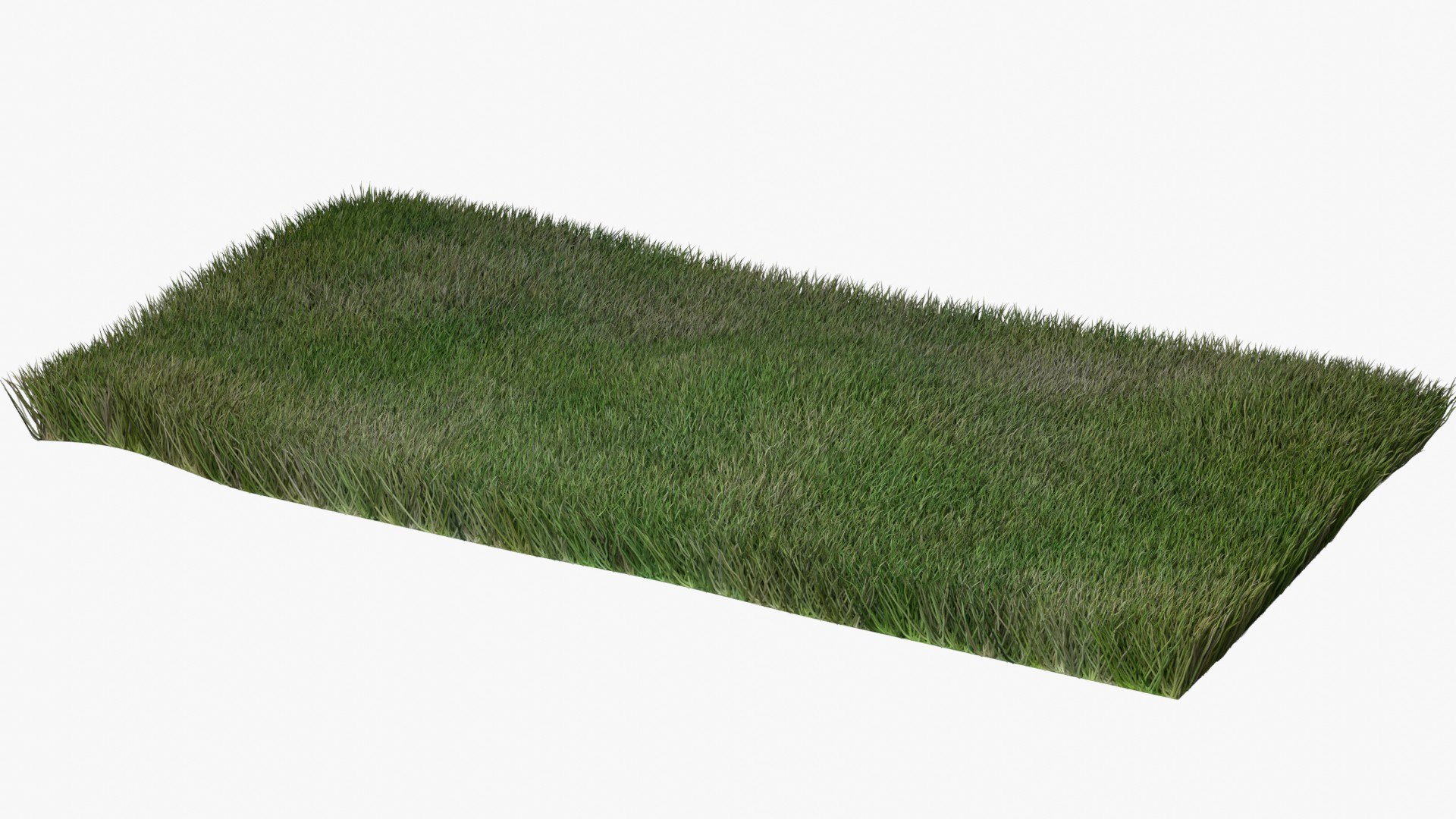 Warm Season Grass 3D model https://p.turbosquid.com/ts-thumb/20/ZqnOuL/QP/grass_7/jpg/1744982802/1920x1080/fit_q87/ac43132f8c0b7fc900205b9975afe7fc3d1e9220/grass_7.jpg