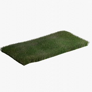 Warm Season Grass 3D model