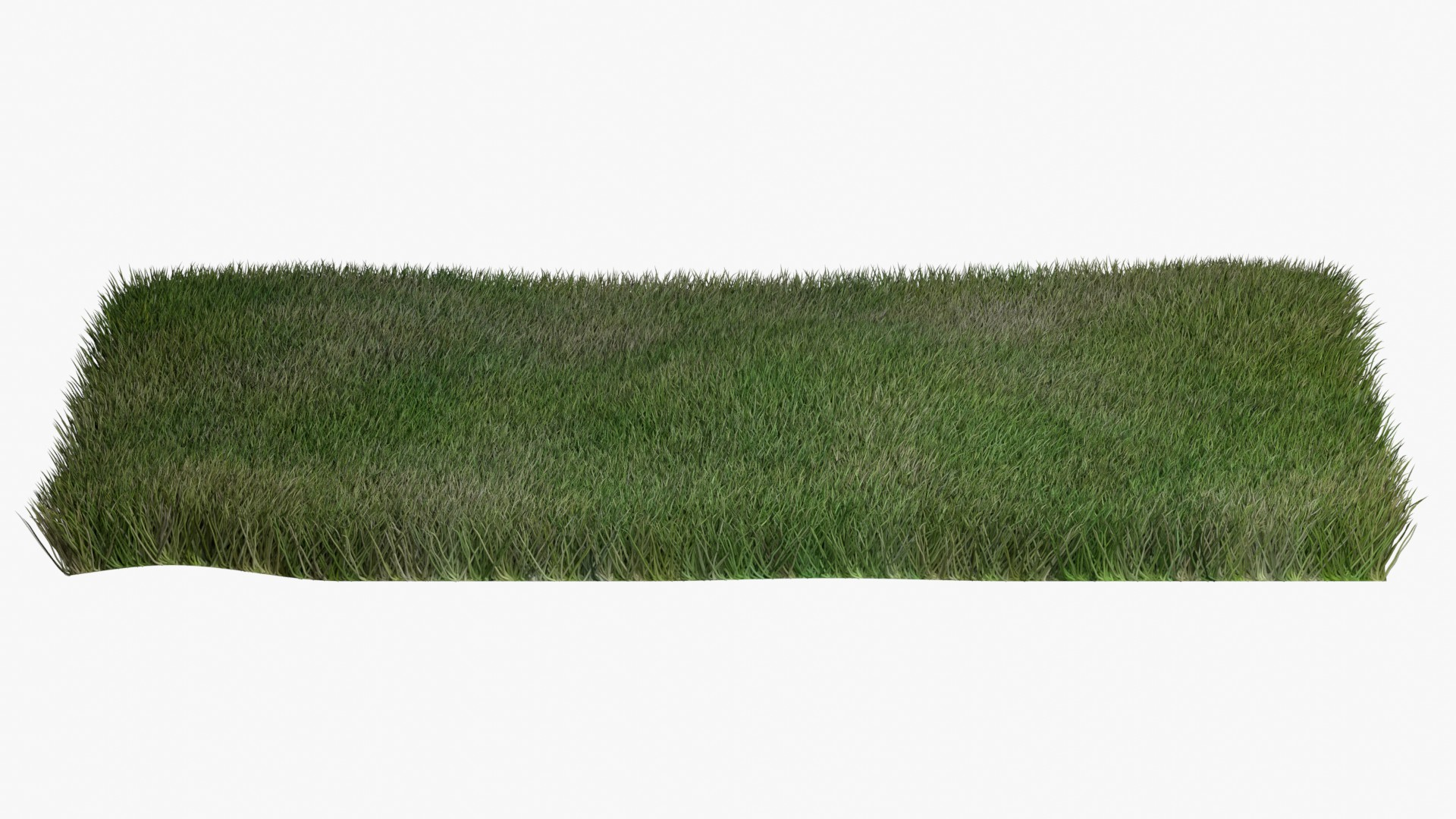 Warm Season Grass 3D model https://p.turbosquid.com/ts-thumb/20/ZqnOuL/yE/grass/jpg/1744982967/1920x1080/turn_fit_q99/9fd88bd65d22f52431b7161c5da47f7781ef06b1/grass-1.jpg