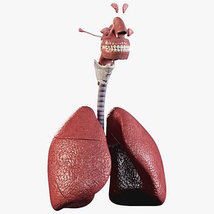 Man Respiratory System