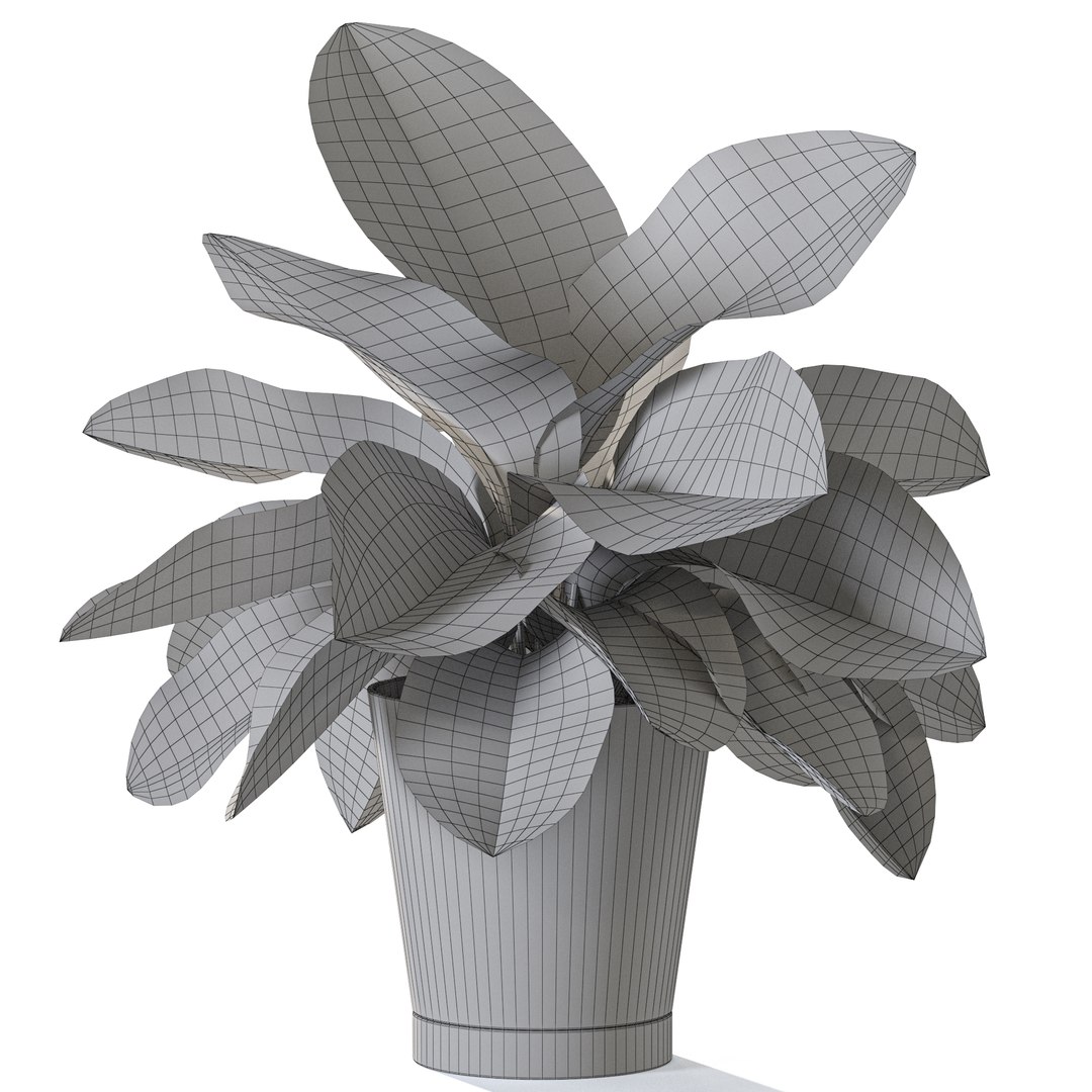 3D Plant 1232 https://p.turbosquid.com/ts-thumb/20/asrvKD/dk/plant_1232_04/jpg/1745859831/1920x1080/fit_q87/eec52521ca4ed6ef10533679aaf436df9c10b9a2/plant_1232_04.jpg