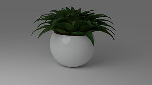 Bush