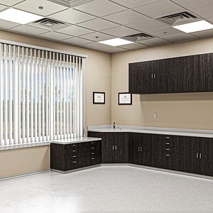 Empty Medical Office model