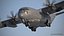 Lockheed Martin C-130J Super Hercules  Highly Detailed 3D Model