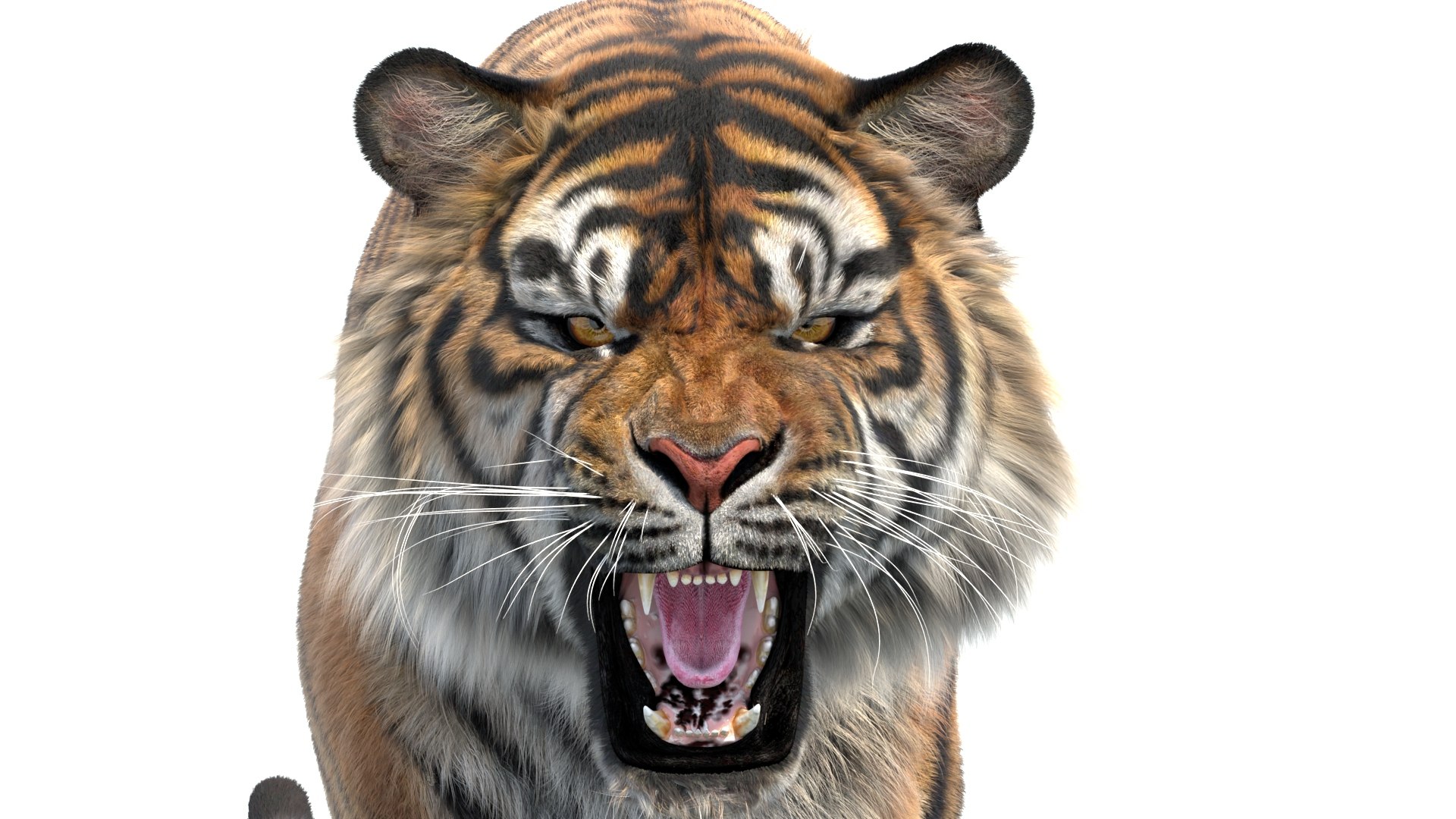 Big Cat 3D Model Rigged Animated Fur 3D https://p.turbosquid.com/ts-thumb/21/EfQ4C0/63/animated_sumatran_tiger_3d_model_fur06/jpg/1744040775/1920x1080/fit_q87/d060d8668cff276ff01130f9db03539dfdadceb2/animated_sumatran_tiger_3d_model_fur06.jpg