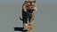 Big Cat 3D Model Rigged Animated Fur