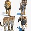 Big Cat 3D Model Rigged Animated Fur