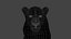 Big Cat 3D Model Rigged Animated Fur