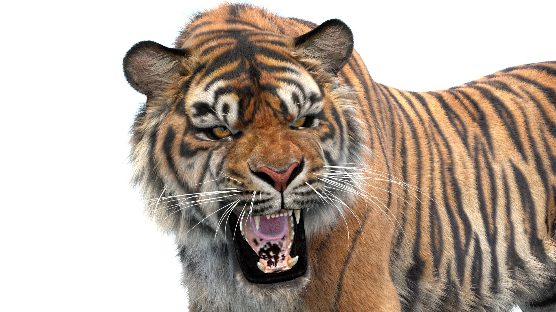 Big Cat 3D Model Rigged Animated Fur 3D https://p.turbosquid.com/ts-thumb/21/EfQ4C0/AU/animated_sumatran_tiger_3d_model_fur20/jpg/1744040782/1920x1080/fit_q87/e0c01b2871c40d07153a1bb1dd68e17559369484/animated_sumatran_tiger_3d_model_fur20.jpg