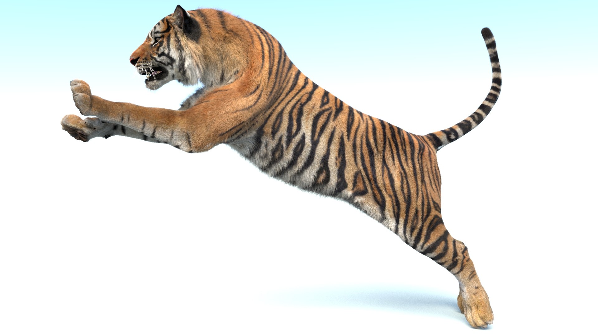 Big Cat 3D Model Rigged Animated Fur 3D https://p.turbosquid.com/ts-thumb/21/EfQ4C0/Gj/animated_sumatran_tiger_3d_model_fur15/jpg/1744040781/1920x1080/fit_q87/57551505a05cfd178589e9485f6ba66e64088c4b/animated_sumatran_tiger_3d_model_fur15.jpg