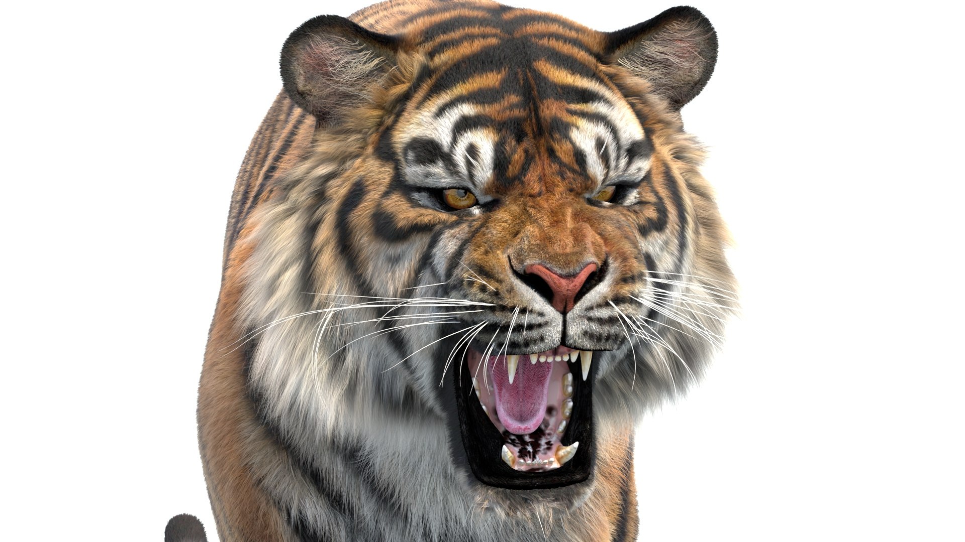 Big Cat 3D Model Rigged Animated Fur 3D https://p.turbosquid.com/ts-thumb/21/EfQ4C0/Jh/animated_sumatran_tiger_3d_model_fur04/jpg/1744040774/1920x1080/fit_q87/e14439c83e9546a00486740d2d3ed218d853a33f/animated_sumatran_tiger_3d_model_fur04.jpg