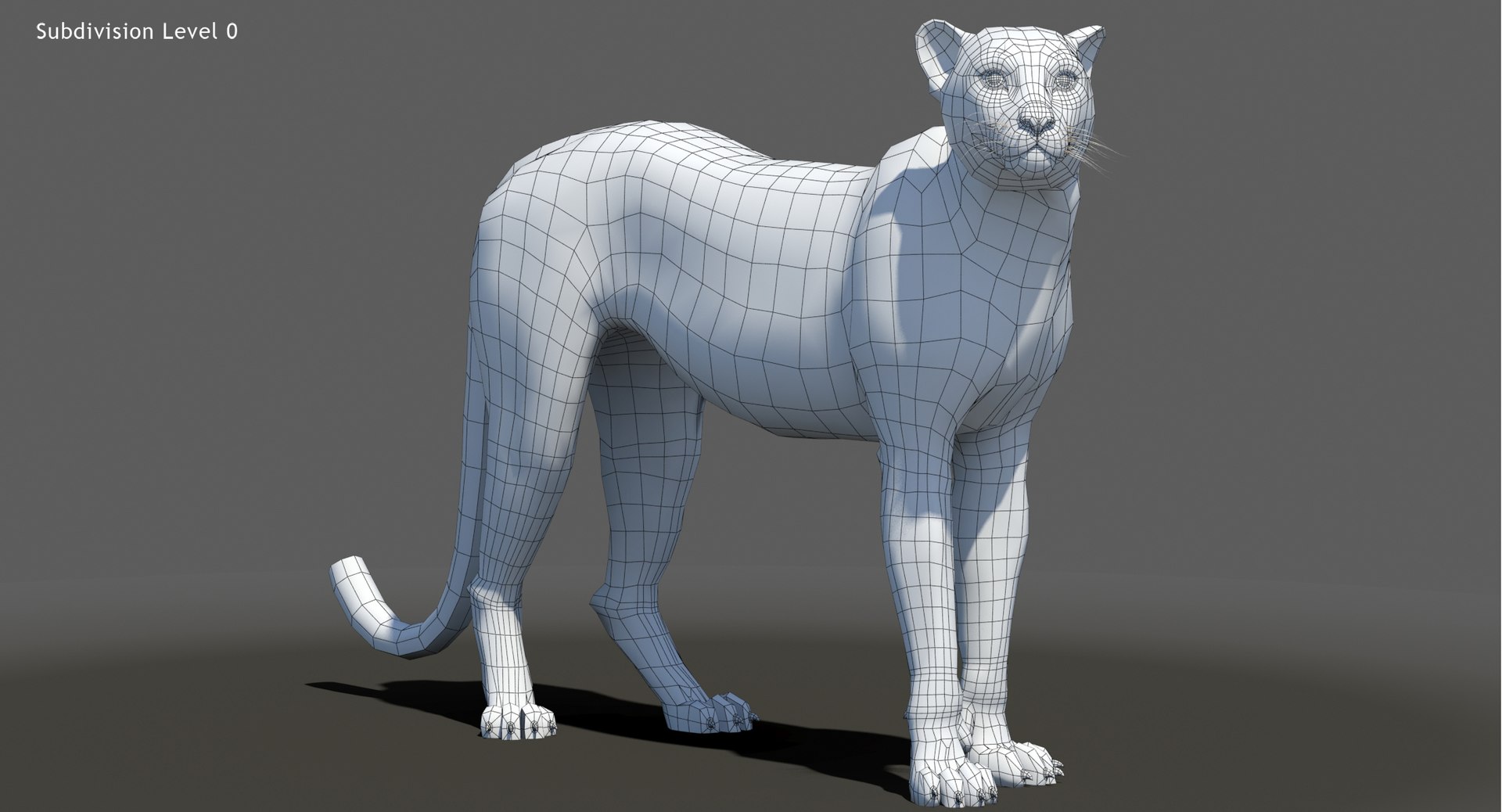 Big Cat 3D Model Rigged Animated Fur 3D https://p.turbosquid.com/ts-thumb/21/EfQ4C0/M6/animatedcheetah3dmodelfurwireframe01/jpg/1744040987/1920x1080/fit_q87/c3e4abc31dc561a4103178781afb162d30e67fc4/animatedcheetah3dmodelfurwireframe01.jpg