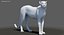 Big Cat 3D Model Rigged Animated Fur