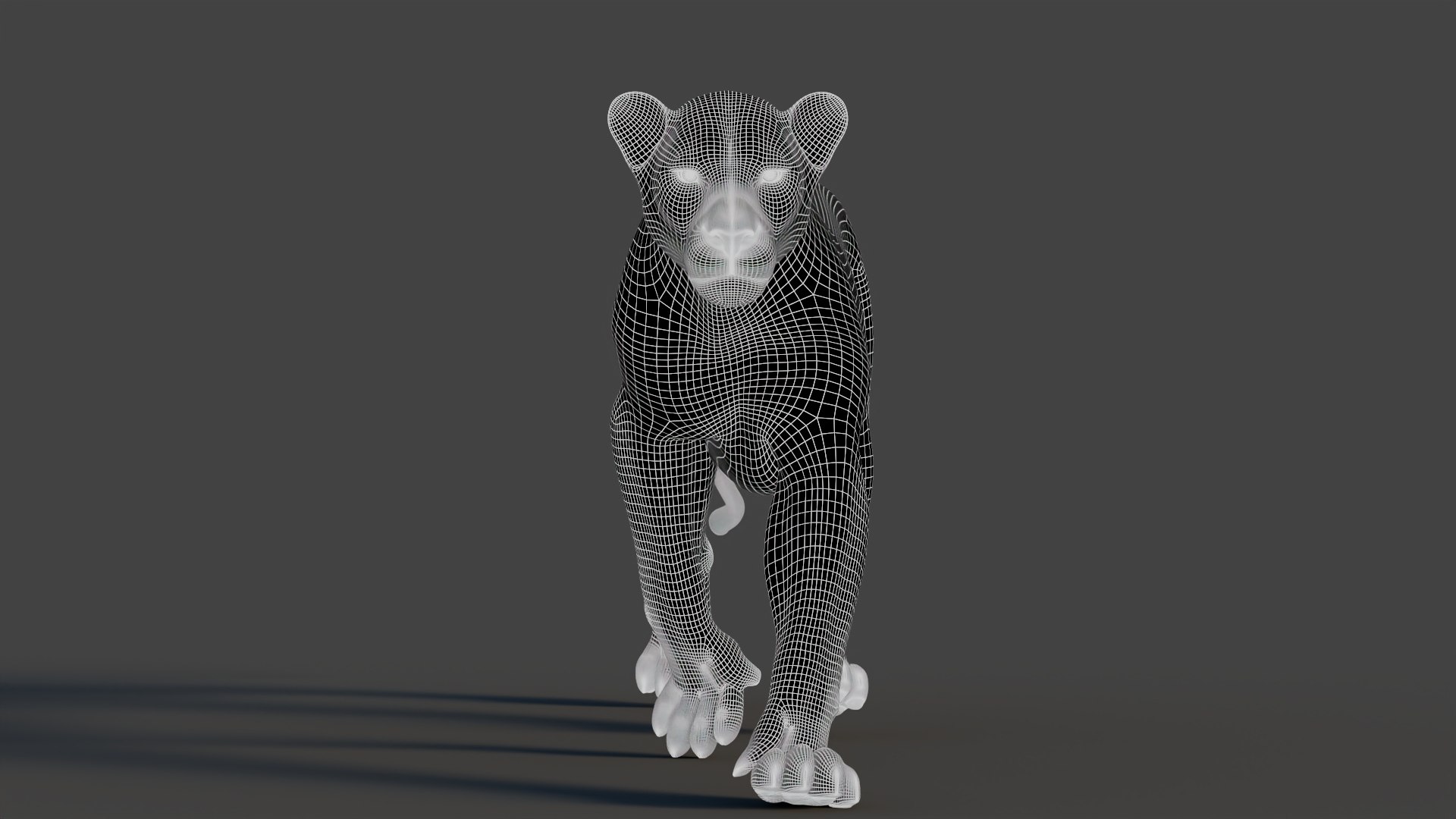 Big Cat 3D Model Rigged Animated Fur 3D https://p.turbosquid.com/ts-thumb/21/EfQ4C0/Pd/animatedlion3dmodelfurwireframe02/jpg/1744041817/1920x1080/fit_q87/6b06c6f10d7933ab25e2cd236fc813ae19869ee0/animatedlion3dmodelfurwireframe02.jpg