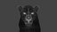 Big Cat 3D Model Rigged Animated Fur