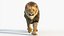 Big Cat 3D Model Rigged Animated Fur