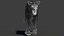 Big Cat 3D Model Rigged Animated Fur