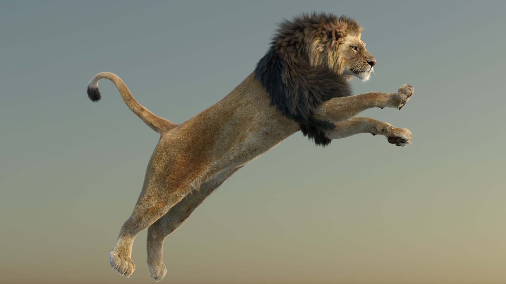 Big Cat 3D Model Rigged Animated Fur 3D https://p.turbosquid.com/ts-thumb/21/EfQ4C0/mV/animatedlion3dmodelfurarnold12/jpg/1744040743/1920x1080/fit_q87/1b864e22e821ffc696513b9adc5d0d35603614b3/animatedlion3dmodelfurarnold12.jpg