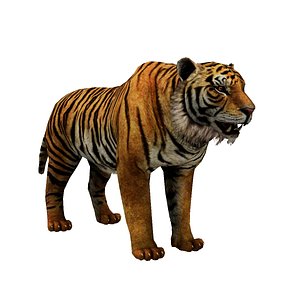 3D model Lowpoly Tiger Rigged and Animated for VR AR Games