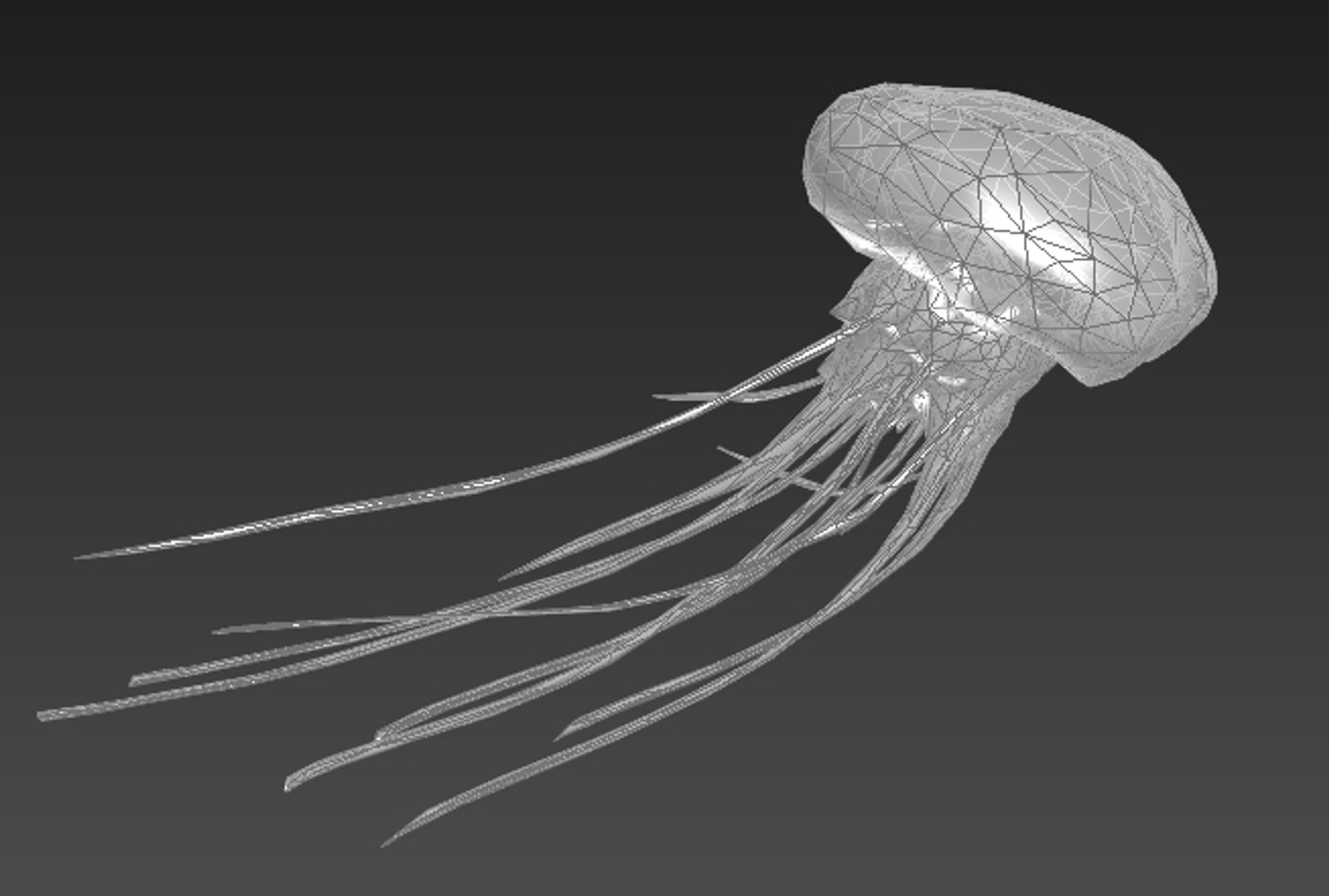 3ds max jellyfish fish jelly https://p.turbosquid.com/ts-thumb/21/OwOXPX/ZYDlfVf0/jellyfish_6/jpg/1417667079/1920x1080/fit_q87/6b159cef901fc0b64433b8c825c3d3aa38b6802d/jellyfish_6.jpg